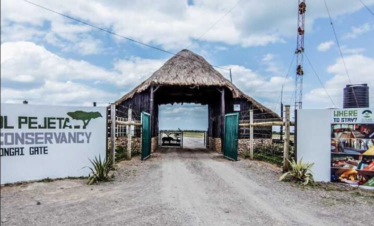 Full Day Private Guided Tour to Olpejeta Conservancy from Nairobi